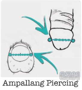 Ampallang intim Piercings benztown Piercingstuttgart 0711piercing.