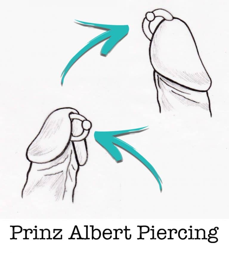 Prinz-albert-PA-piercing-piercing-ABC-Benztown-ink-station-stuttgart-piercingstudio. Intim Piercings