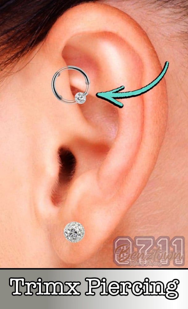 Trimix segment ring Piercing benztown 0711piercing piercingstudio benztownpiercing (2)