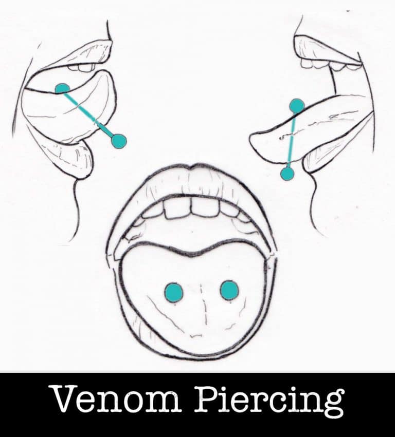 Venom-piercing-piercing-ABC-Benztown-ink-station-stuttgart-piercingstudio