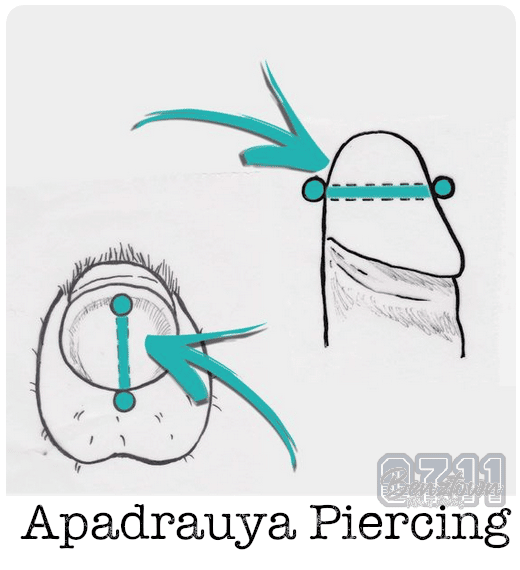 apadrauya Ampallang intim Piercing benztown Piercingstuttgart 0711piercing. Intim Piercings