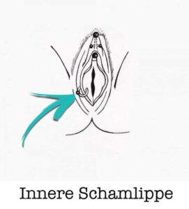 innere-Schamlippen-piercing-piercing-ABC-Benztown-ink-station-stuttgart-piercingstudio Intim Piercings