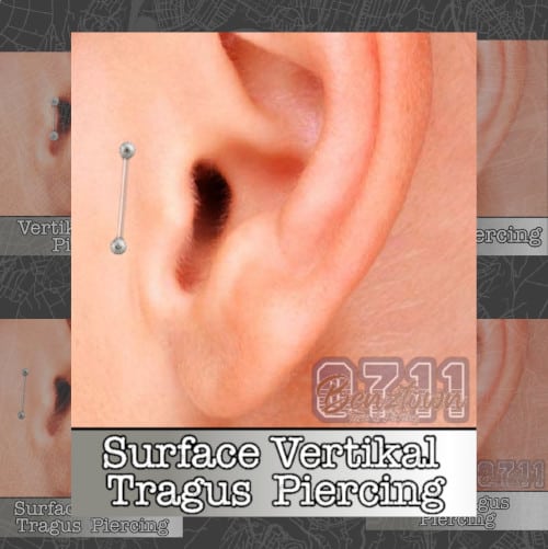 Surface Vertikal Tragus Piercing Piercing benztown 0711piercing piercingstudio benztownpiercing