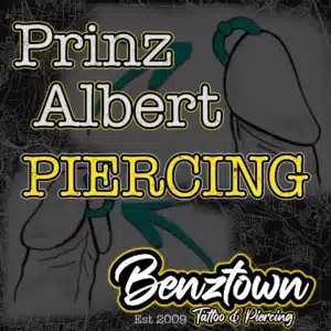 prinz albert intimpiercing intimpiercingmann prinzalbert piercing piercingserklärt piercingwissen benztown piercingstudio 0711 piercing piercings